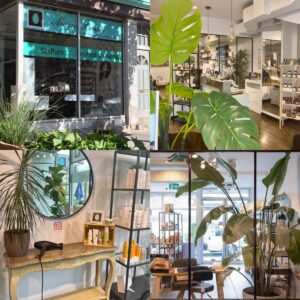 Marie Beaute - Salon de Coiffure - Institut de beaute 02 2023